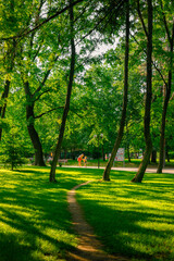 Walking in the city park with the beautiful grass and vibrant green leaves.