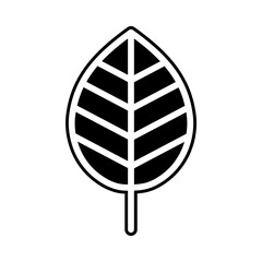 leaf icon - botany, herbal, ecology, bio, organic, vegetarian, eco, fresh, nature outline pictogram for flora