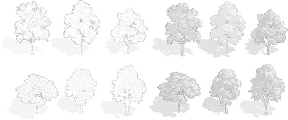 axonometric tree, isometric set of trees, cut out, cad