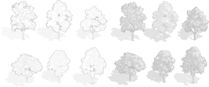 axonometric tree, isometric set of trees, cut out, cad