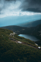 First lake of the 7 lakes in Rila Mountain seen from above with beautiful background skies.