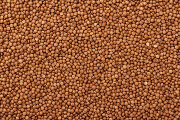 buckwheat background