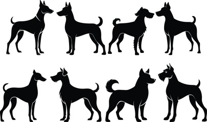 dog vector illustration