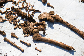 Archaeological excavations of ancient tombs