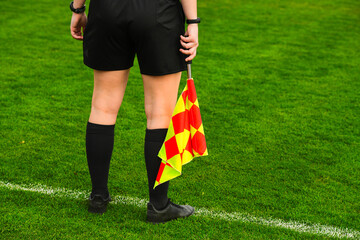 Assistant football referee and Referee's flag