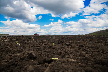 Plowed agricultural field under dramatic sky, soil texture close-up