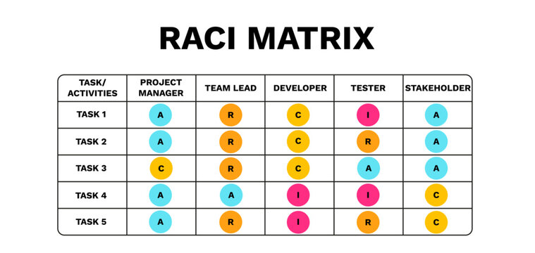 Raci matrix. Management with accountable assignment and marketing decision model with consultation and team vector analysis infographics