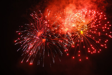 Colorful fireworks celebration and the city night light