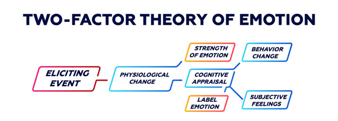 Two factor theory of emotion diagram. Process of emotional cognitive behavior and management of mental interaction with elements of psychological vector education