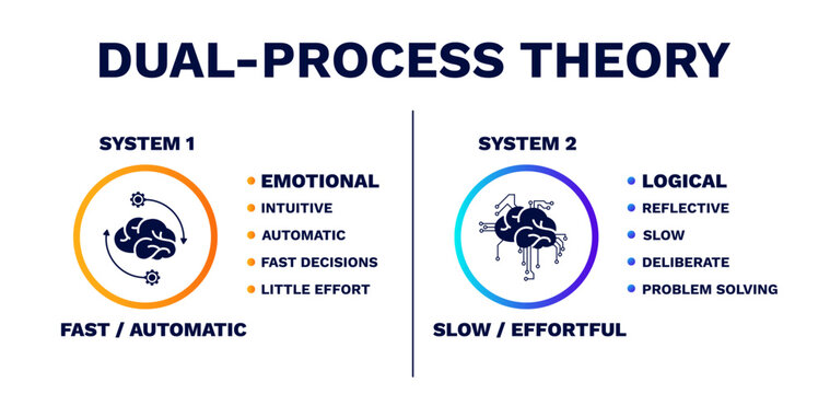 Dual process theory. Emotional of logical with model of trust protection and fear elimination with stressful vector interactions