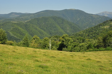 landscape in the mountains