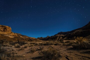 Desert Night Sky. Majestic Night Sky Over Desert Landscape with Stars