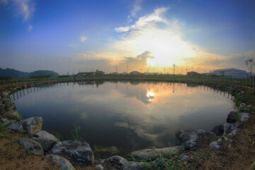 Beautiful pink lotus flower with a green leaf in the pond.