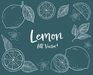 レモンとリーフの手描きチョークアート風イラストセット