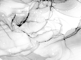 Alcohol Ink Abstract Art. Grey Marble Ink Patterns. Smoke Alcohol Ink Art. White Abstract Art Isolated. Marble Pattern. Wall Paint Concept. Digital Brush.