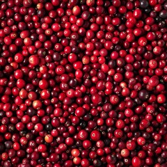 Cranberries texture background, Vaccinium macrocarpon fruits pattern, Oxycoccus macrocarpus mockup