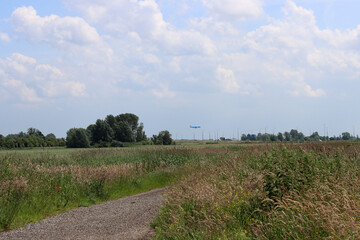 Rural landscape with a road in the middle of a meadow. Cloudy summer day in countryside. Tranquil rural scenery. 