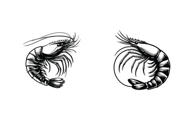 Shrimp silhouette vector illustration