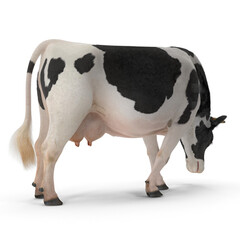 Realistic 3D Cow PNG Images | High-Quality Cow Modeling Illustrations | Detailed Farm Animal and Livestock Art