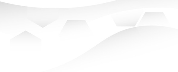 White vector hexagon gradien abstract background design