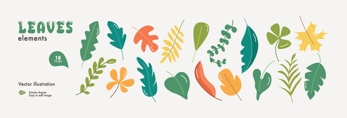 Leaves elements illustration. Leaf collection set. Plant illustration. Colorfull leaf collection.