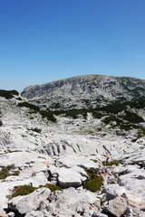 The view from Krippenstein mountain, Austria	