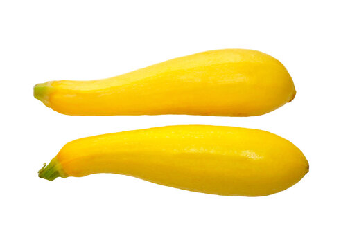 Yellow summer squash isolated on a transparent background, illustration.