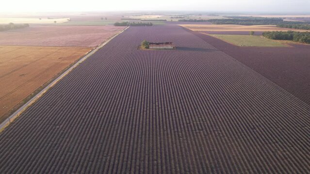 un ancien batiment au milieu des champs en vue a&eacute;rienne, agriculture sur le plateau de Valensole - Provence France
