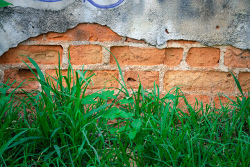 A brick wall with a green grassy border