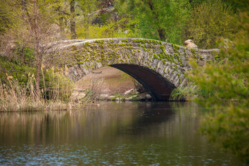 Gapstow Bridge in Central Park New York City