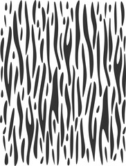 Zebra Print Illustration