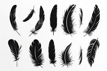 Feather icon, animal feathers isolated, black plume symbol, minimal plume silhouette on white
