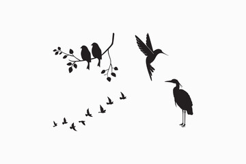 Bird silhouette vector style with white background