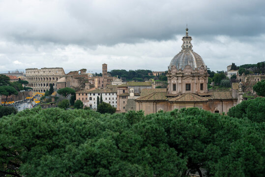 View of Rome over pine trees