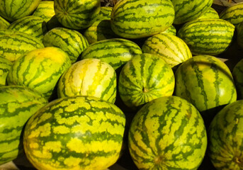 Fototapeta premium large sweet green watermelons are placed on a wooden table on a natural background for sale.