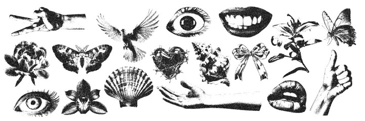 Romantic vintage elements with photocopy stipple effect. Vector illustration of hands, flowers, eyes, shells, in halftone design for banner or poster, grunge coquette y2k collage design