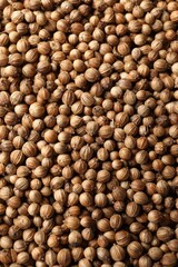 Dried coriander seeds as background, top view