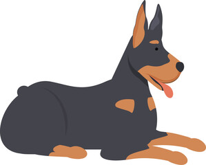 Doberman pinscher lying down with its tongue out resting and looking away