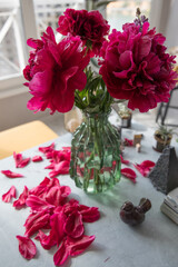 Large red peonies in a vase on the table at home