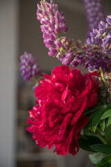 Large red peonies in a vase on the table at home