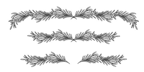 Hand drawn botanical floral elements. Flowers, branches, leaves, plants, herbs. Vector illustration for label, logo, branding business identity, wedding invitation, wreath, frame.