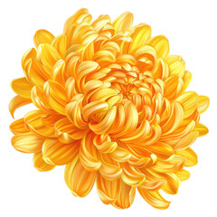 A vibrant, yellow chrysanthemum in full bloom, showcasing intricate petal details. Perfect for floral designs and nature-themed projects.