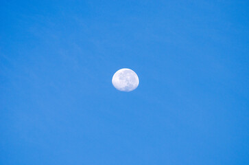 A beautiful moon can be seen in the clear blue spring sky