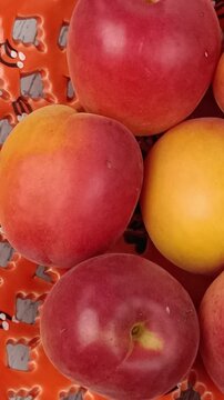 plusieurs abricots, en gros plan, dans un plat