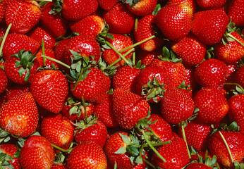 Close up view of a box of ripe strawberries on a market stall