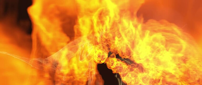 Realistic dragon breathes fire on a black background on a reflective surface. 3d animation.
