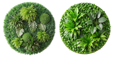 Set of circular, green garden wall panels made from cut-out tropical plants