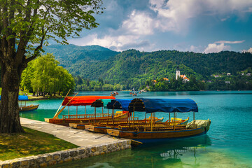 Naklejka premium Anchored pletna boats on the lake Bled, Slovenia