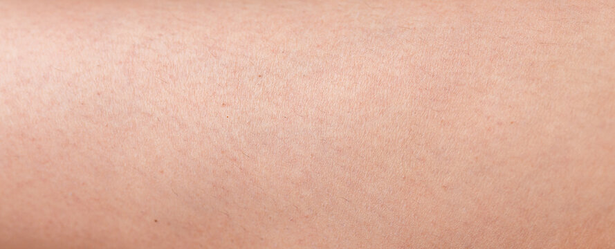 Background of female human skin texture