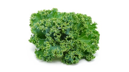 Obraz premium Kale on white background